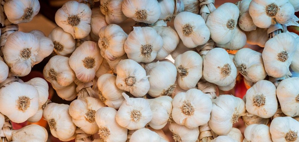 Garlic wholesale distributors in UAE