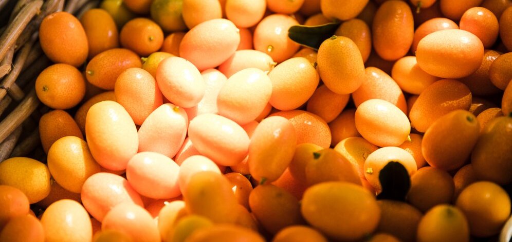 Mango Wholesale Supplier in Dubai