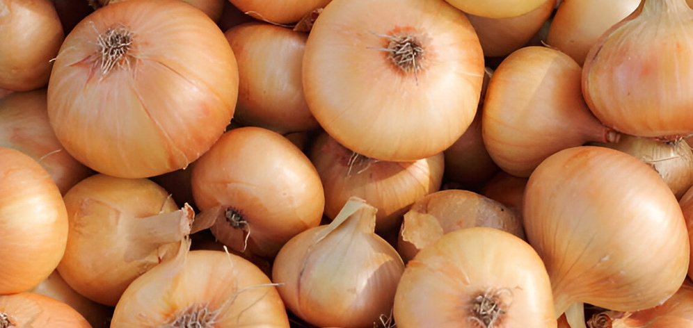 Onion wholesale distributors in UAE