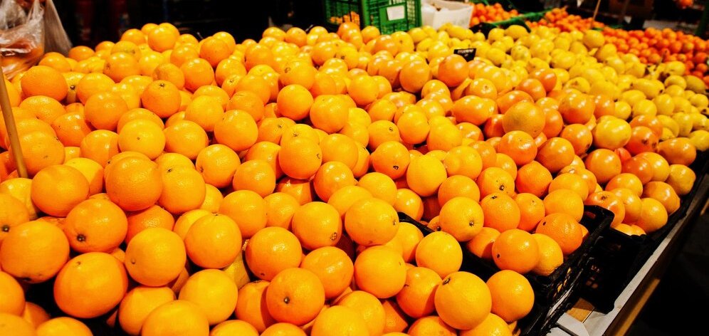 Orange Wholesale Supplier in Dubai