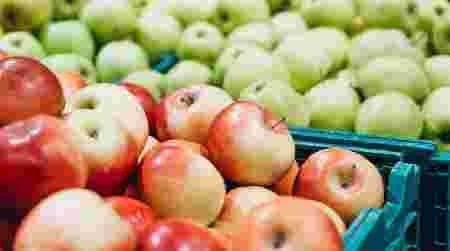 Fruits and Vegetables